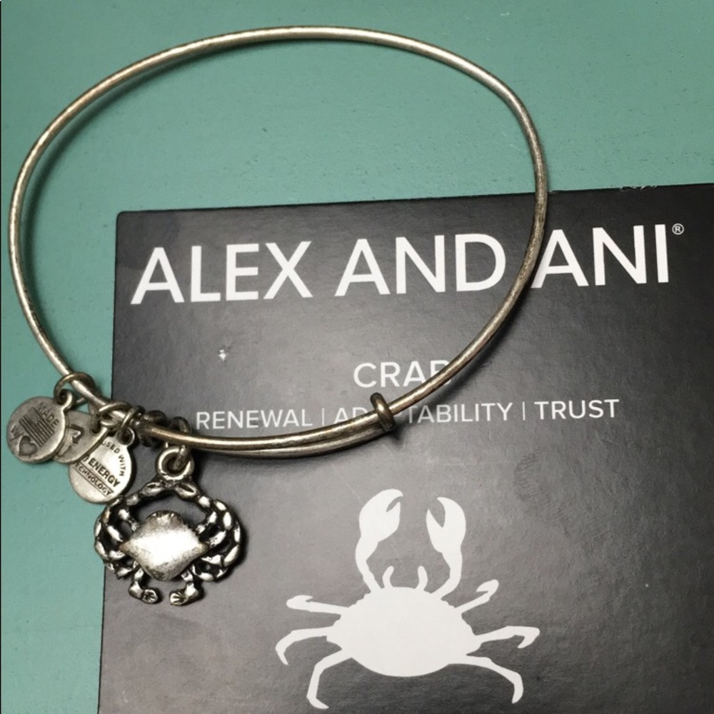 Alex and ani bangle
